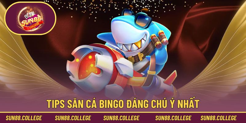 Tips săn cá Bingo đáng chú ý nhất